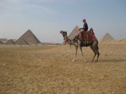 Massawa-Suez-Cyril 347